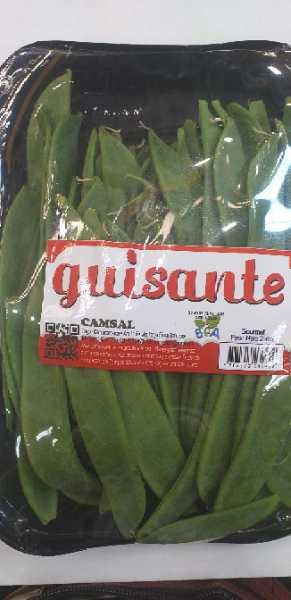 GUISANTE BANDEJA CAMSAL*250GR