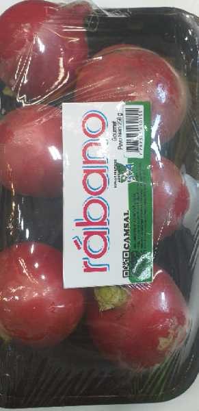 RABANO BANDEJA CAMSAL*250GR