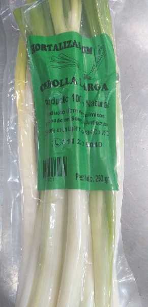 CEBOLLA AL VACIO EUROMAX