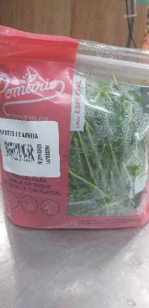 BROTES DE ARVEJA*50GR
