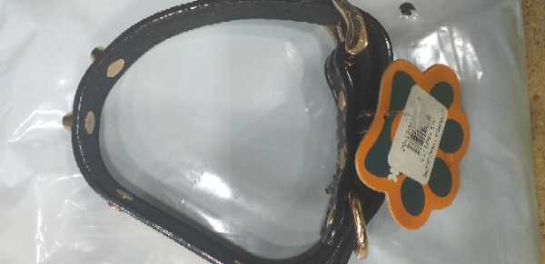 CORREA UNICOLOR TALLA M