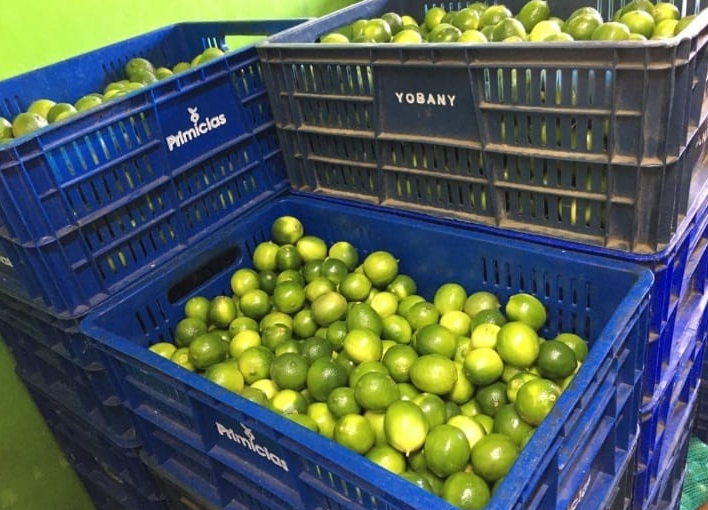 limón Tahití