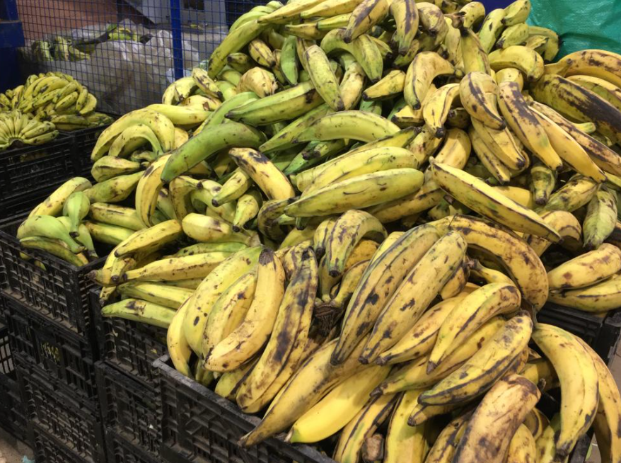 plátano maduro