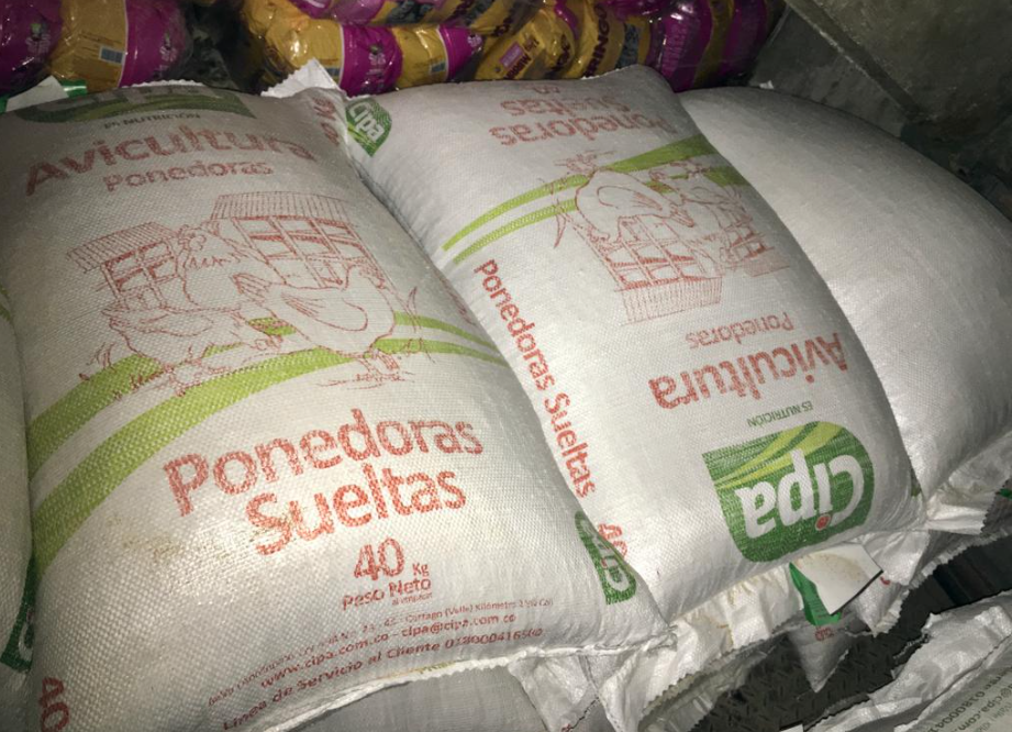 concentrado para gallinas ponedoras
