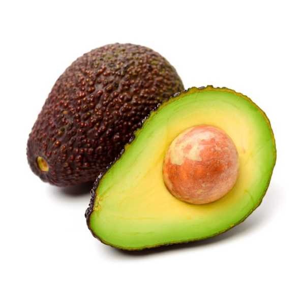 AGUACATE HASS
