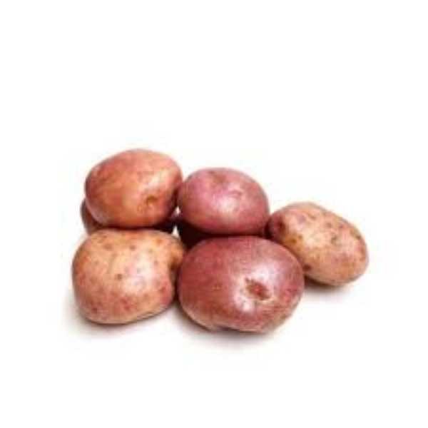 PAPA PASTUSA