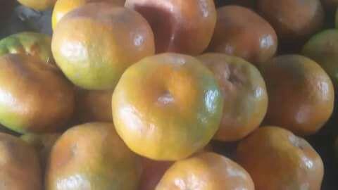 Mandarina