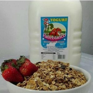 Yogurt Productos Procesados