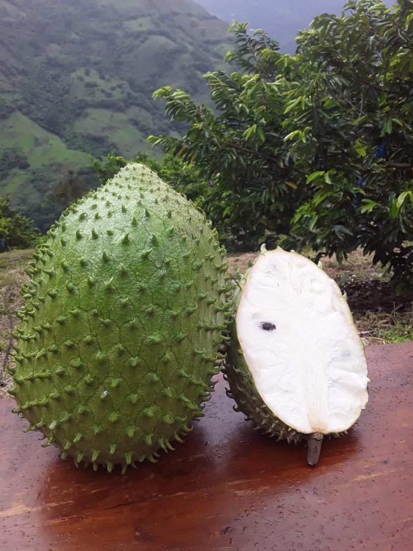 Guanabana