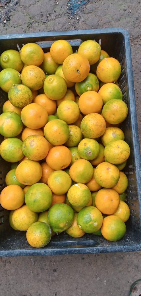 Naranja Super Jugosa Variedad Tangelo Presentacion Por Canastilla De 22 Kg