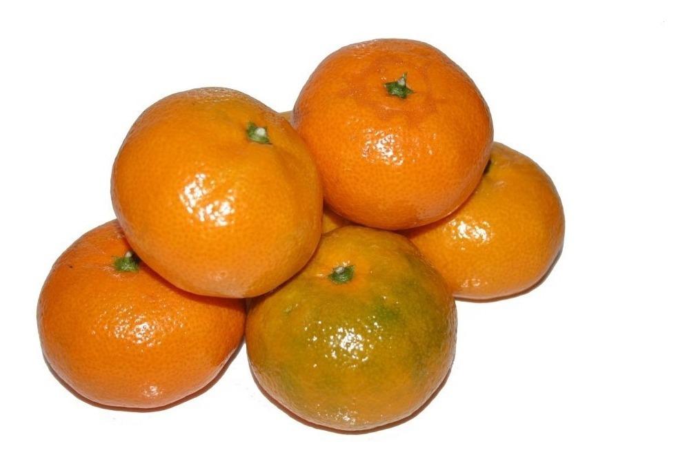 Mandarina Criolla