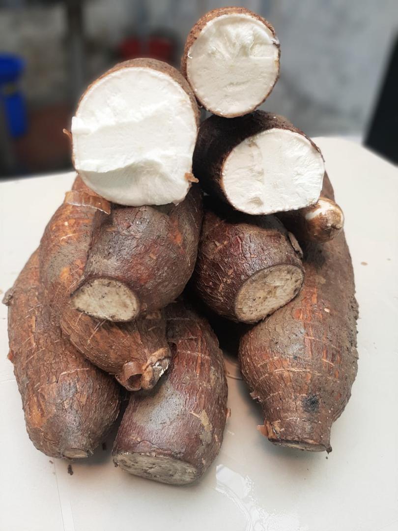 Yuca