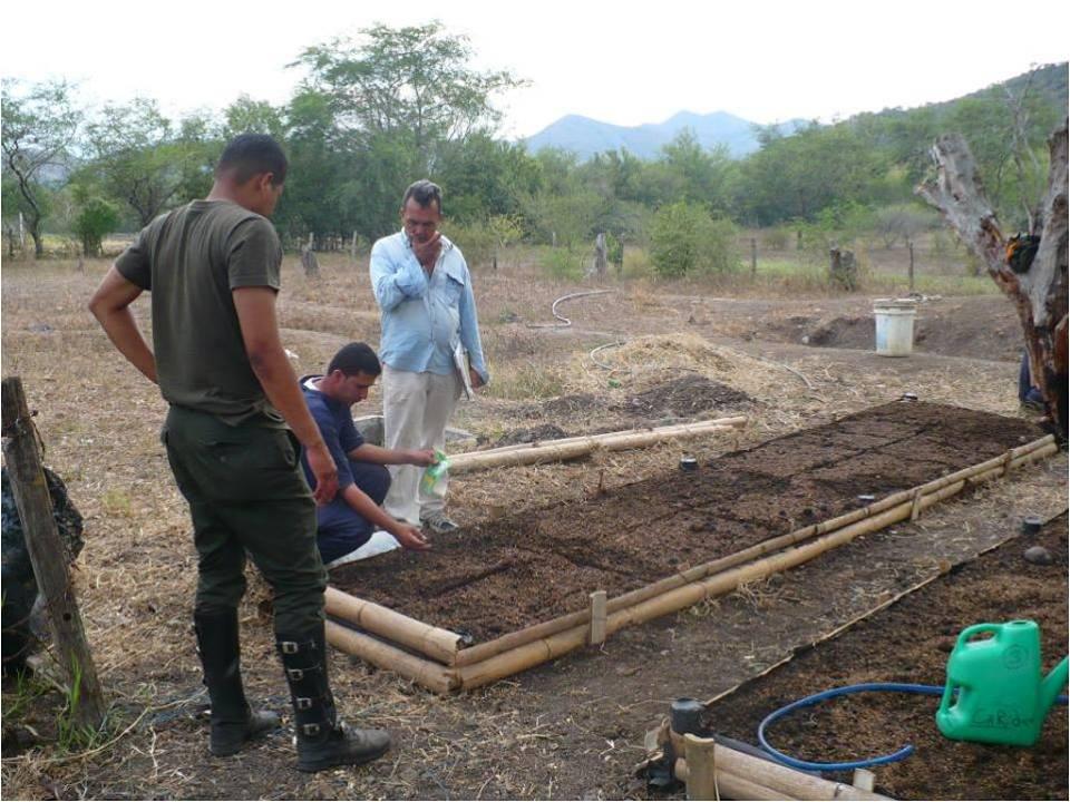 Construccion Y Asesoria Para Huertas Organicas Hidroponicas Semihidroponicas Almacigo