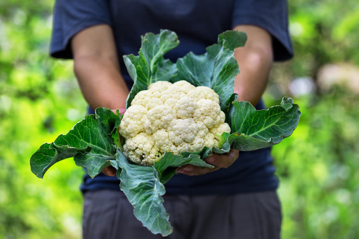 Coliflor Mistica 500Gr