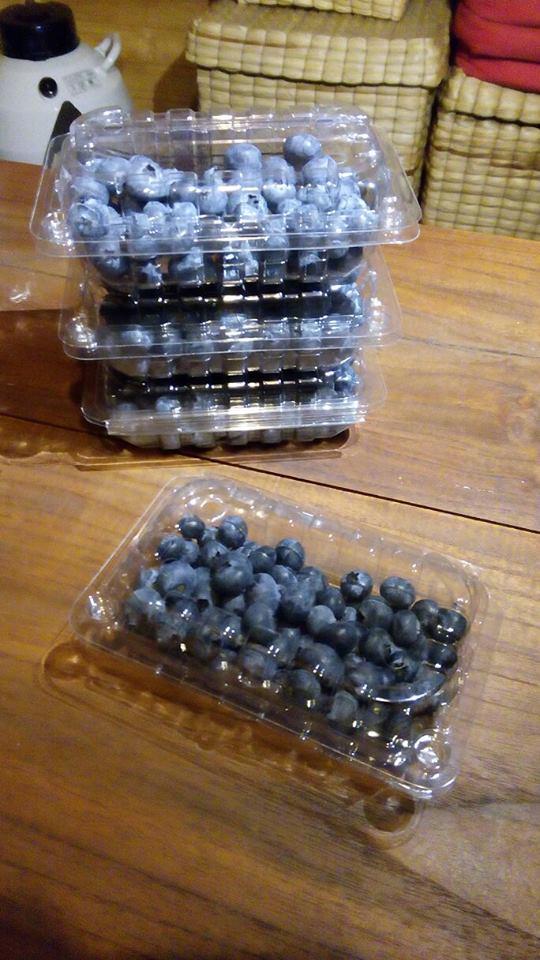 Arandanos X 125 Gr