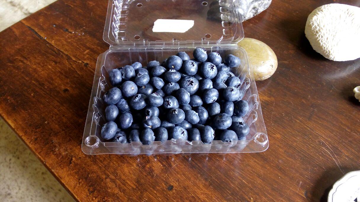 Arandanos X 500 Gr