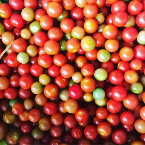 Tomate Cherry