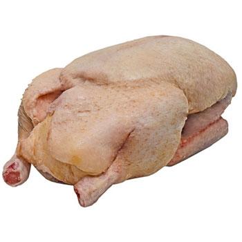 Carne De Pato