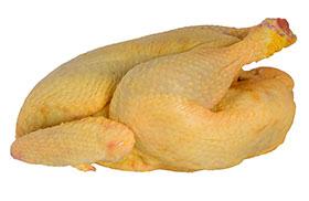 Pollo Semicriollo