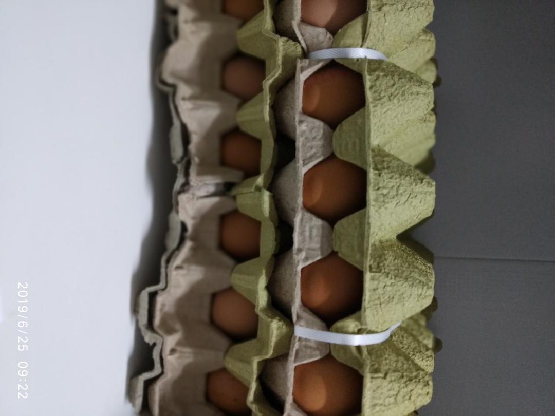 Huevos Santa Maria