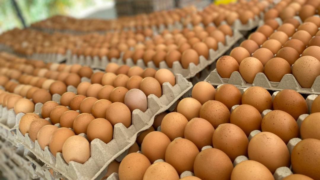 Huevos Aa