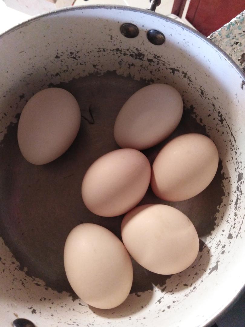 Huevos Criollos