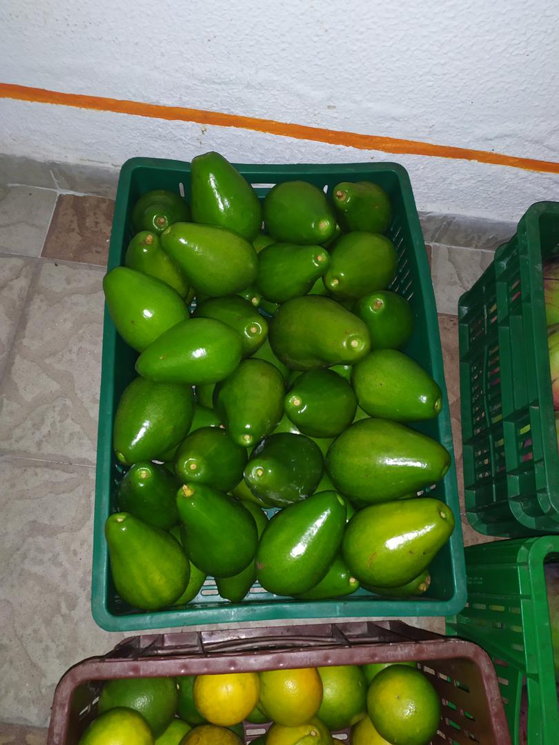 Aguacate