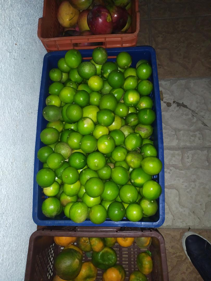 Limon Tahiti