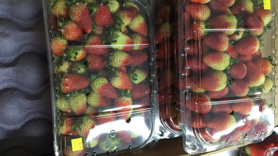 Profruto — foto 2 de 2
