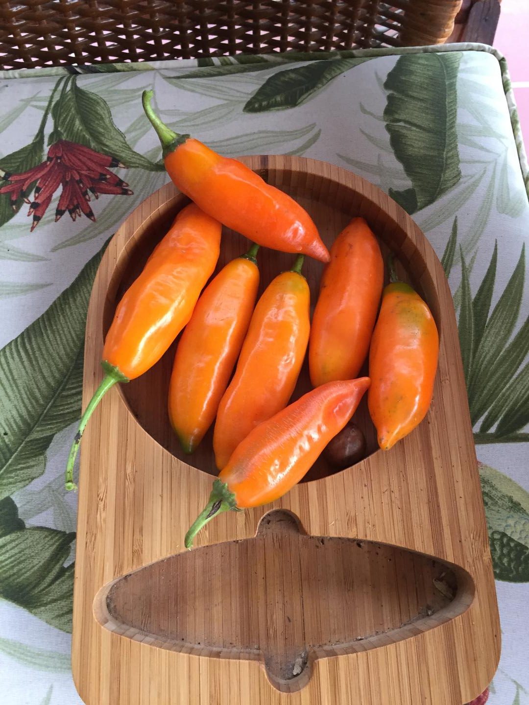 Aji Amarllo Con Semilla Proveniente Del Peru