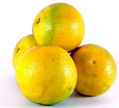 Naranja Criolla