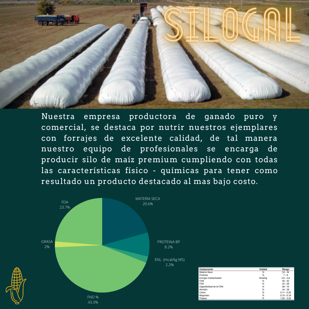 Silo De Maiz 100 Premiun