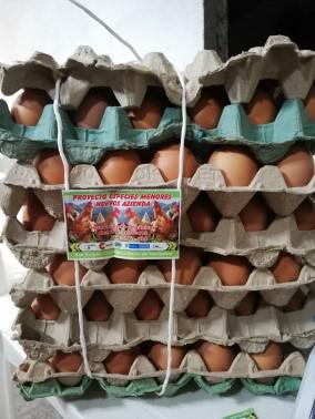 Huevos Semi Organicos Carton Por 30 Huevos