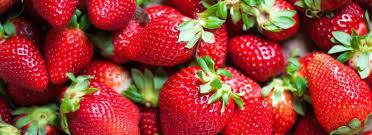 Fresas De Calidad
