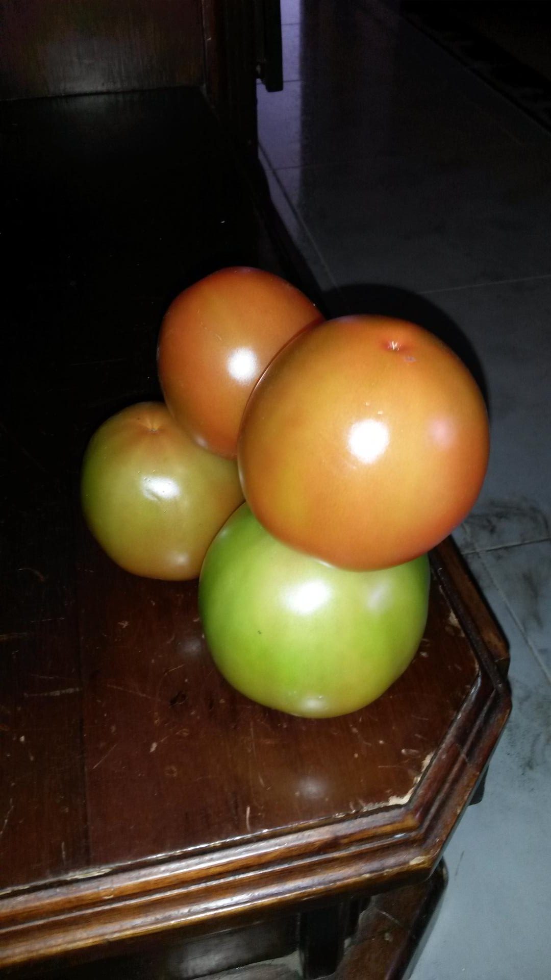 Tomate De Alino Matador