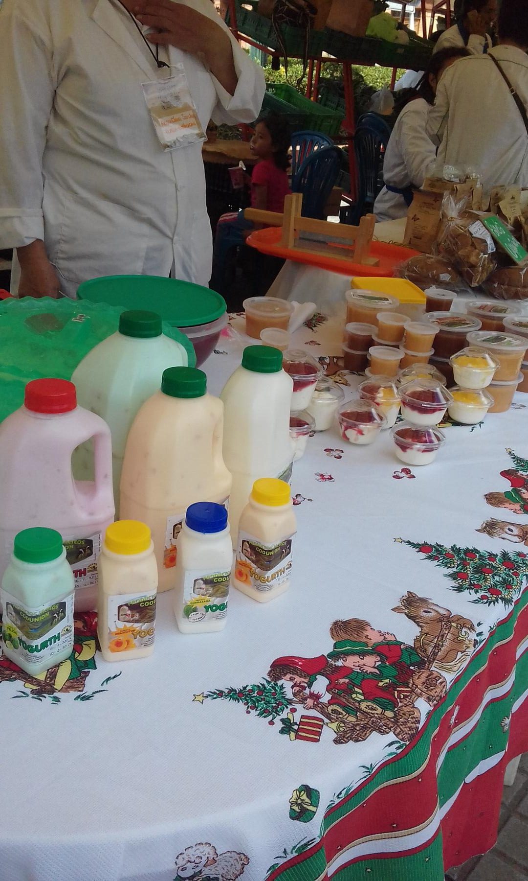 Yogurt Artesanal
