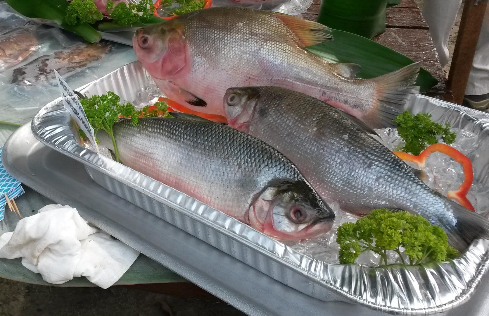 Pescado Cachama Y Sabalo