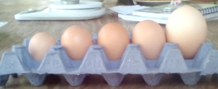 Huevos Criollizados Tica