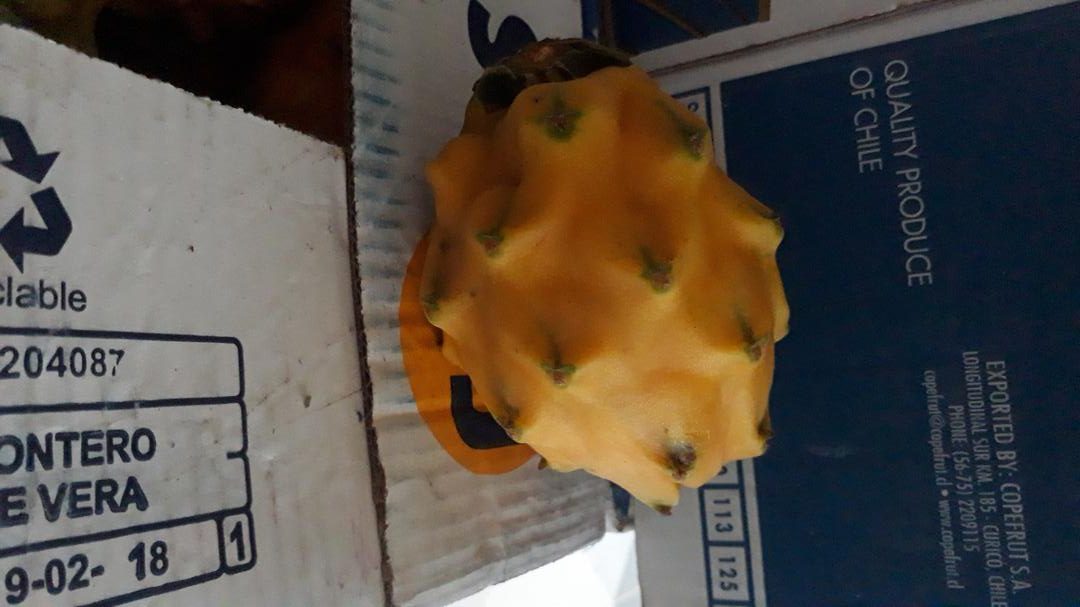 Pitahaya Amarilla — foto 2 de 2