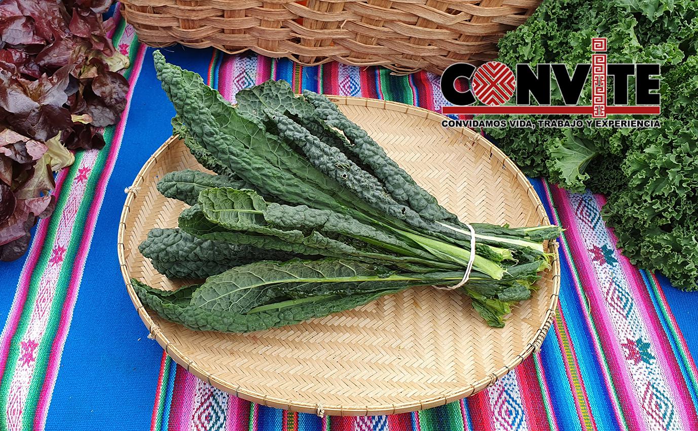 Kale Toscano