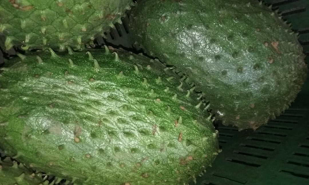 Guanabana Tolimense