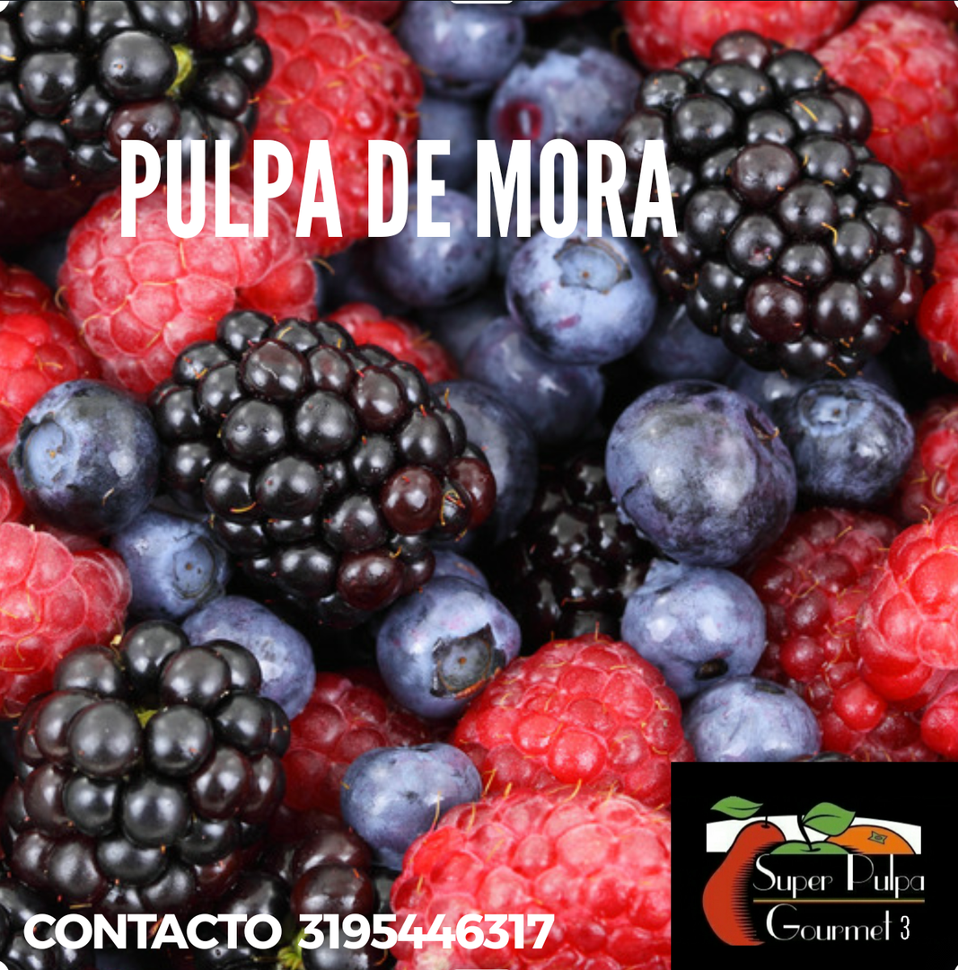 Pulpa De Fruta Artesanal
