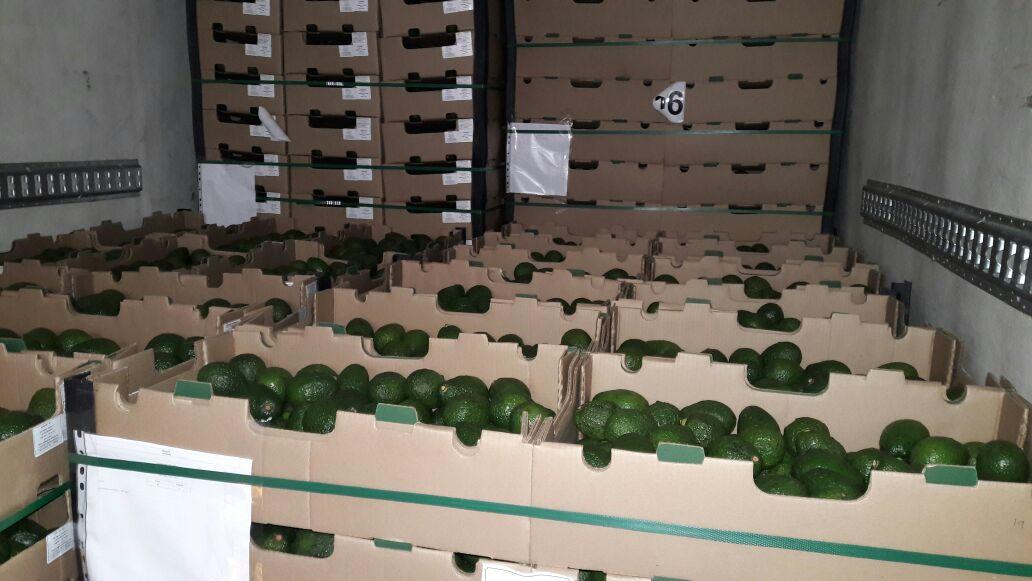 Aguacate Hass Al Por Mayor