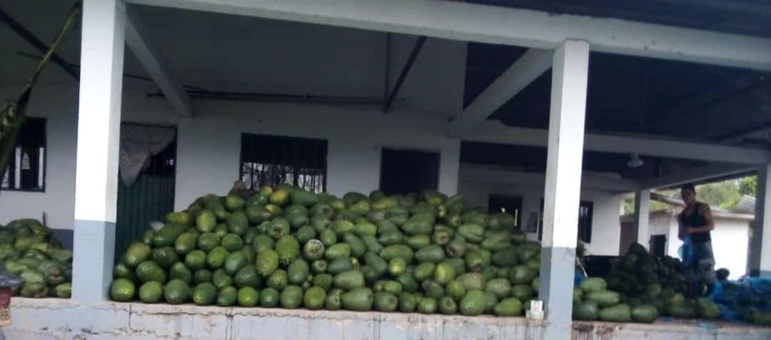 Guanabana