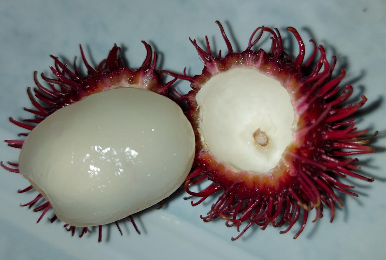 Rambutan O Mamoncillo Chino