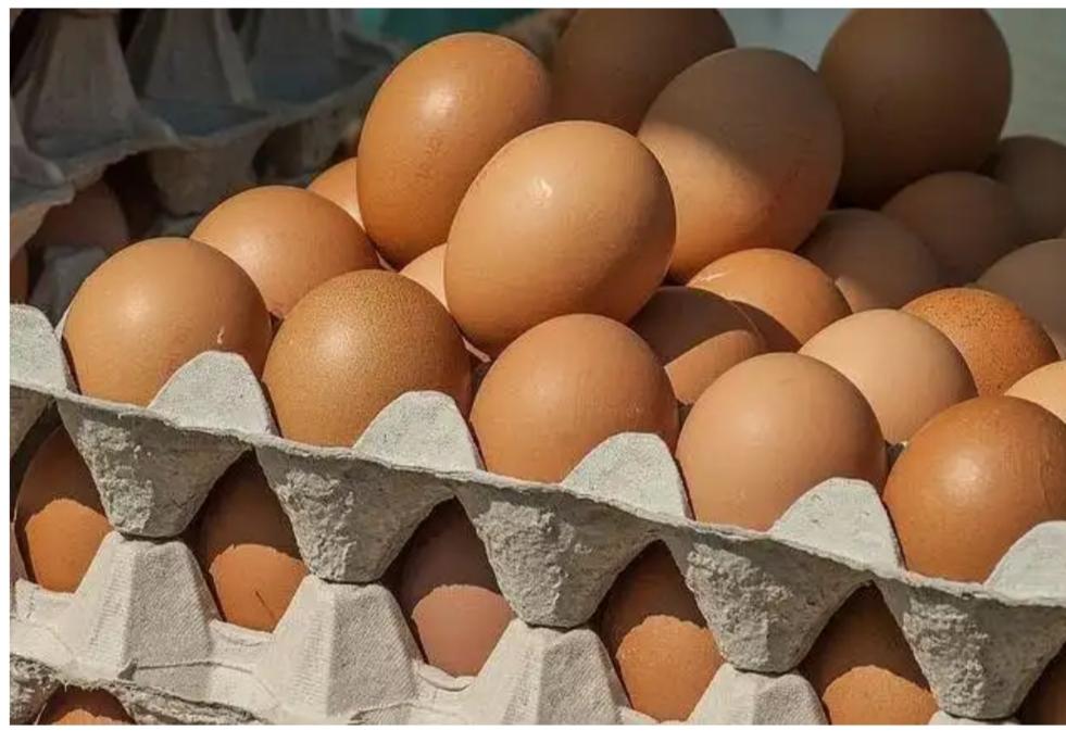 Huevos Frescos Y Saludables