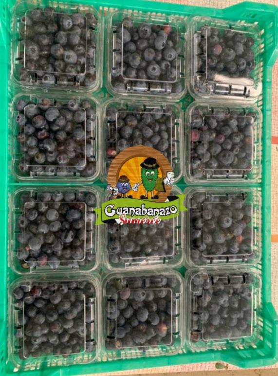 Guanabana Y Arandanos