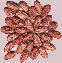 Cacao En Grano