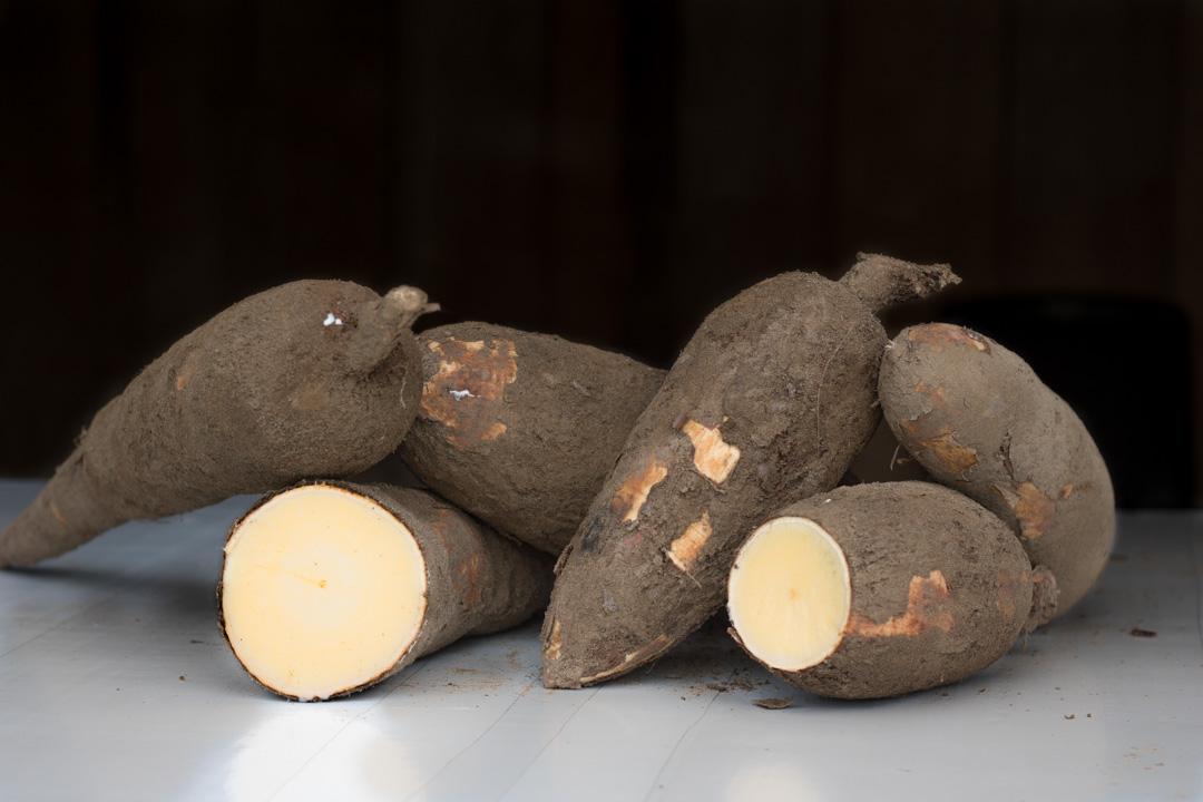 Yuca Amarilla