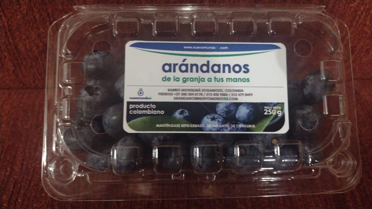 Arandanos Nuevo Mundo Ds — foto 2 de 3